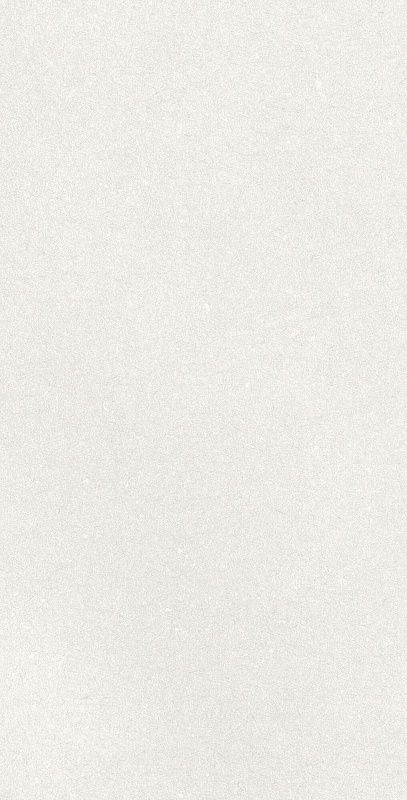 WHITE RECT 60x120